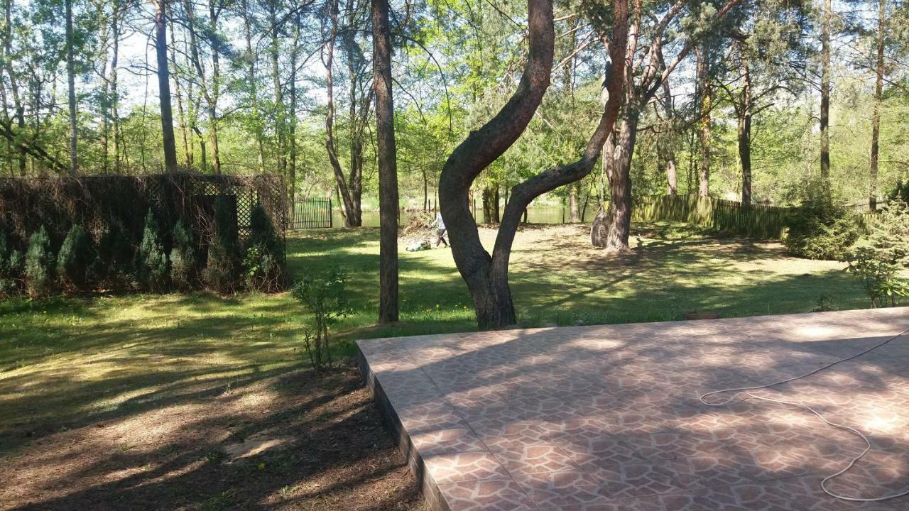 Domek Nad Narwia Dlugosiodlo Екстер'єр фото